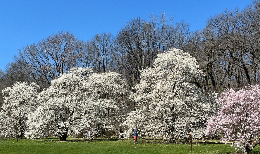 Boerner Botanical Gardens, United States
